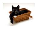 Marcus - Black and White Tuxedo Cat - Laying in Basket with Arm Hanging over the side.